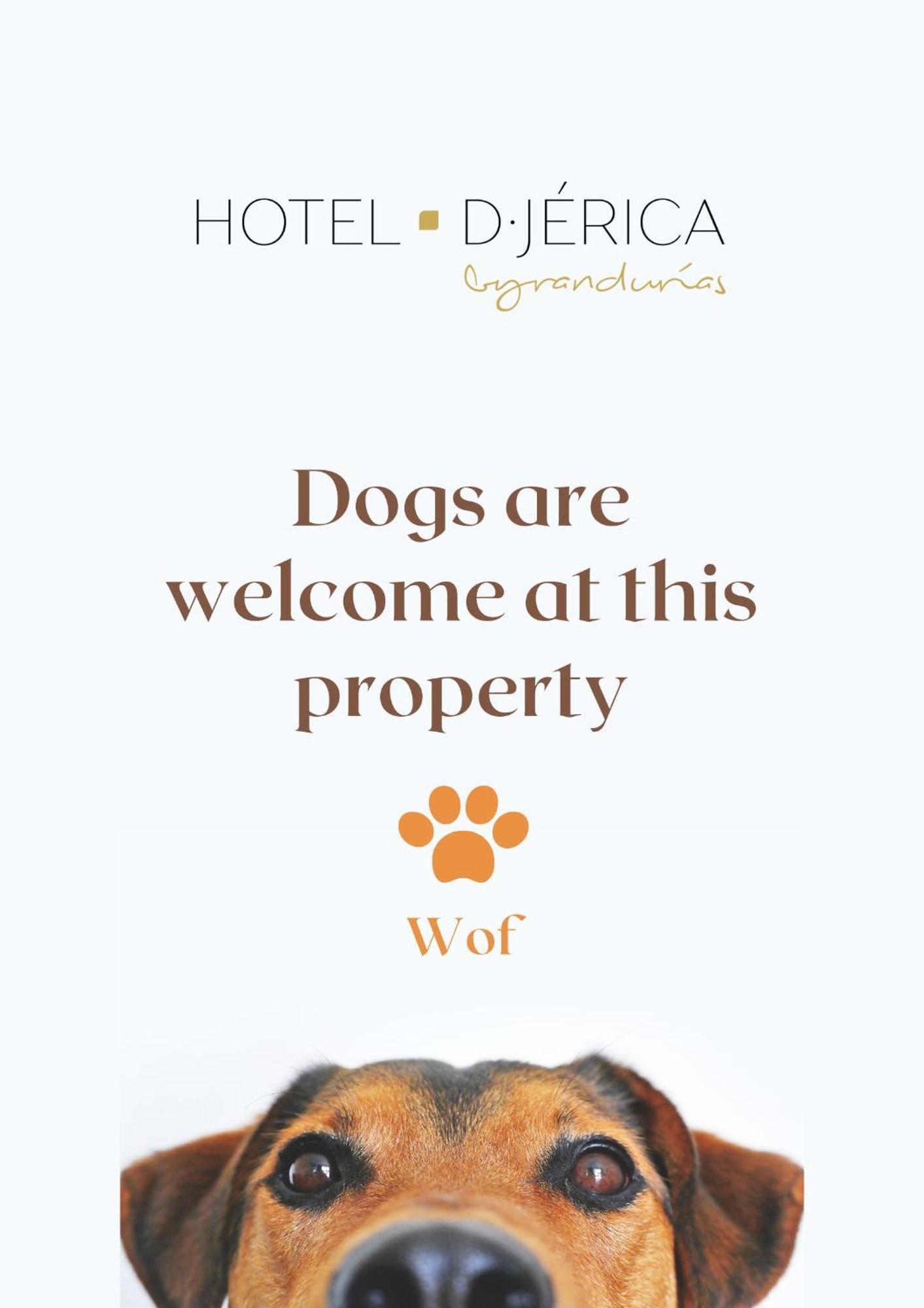 Hotel De 제리카 외부 사진